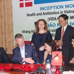 New project to tackle antimicrobial resistance in Vietnam’s pig&nbsp;sector