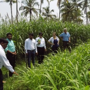 ILRI, CGIAR and Indian officials strengthen collaborations in livestock development in the&nbsp;country