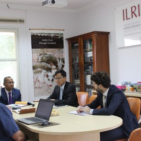 ILRI and Myanmar officials discuss collaboration opportunities in livestock&nbsp;development