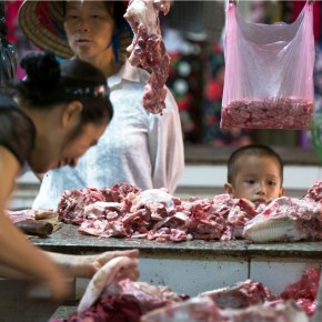 Video: Food safety research in Vietnam: Partnership in&nbsp;action