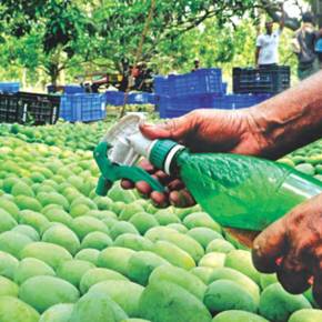 CGIAR agriculture for nutrition and health program supports capacity development for food safety in&nbsp;Bangladesh