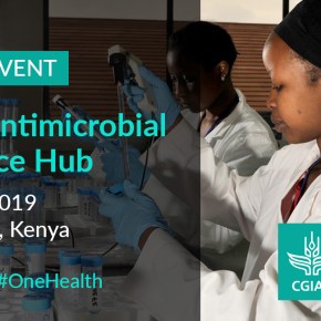 Launching today—CGIAR Antimicrobial Resistance&nbsp;Hub