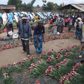 Celebrating the inaugural #WorldFoodSafetyDay: A focus on food safety research at&nbsp;ILRI