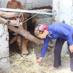 Vietnamese One Health partners commit to strengthening their collaboration during visit to research&nbsp;site