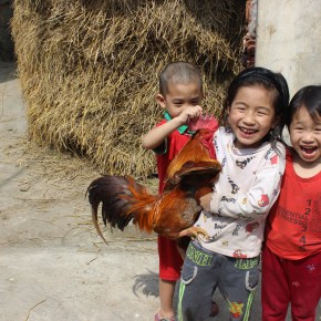 ILRI celebrates 14 years of partnership in agricultural research for development in&nbsp;Vietnam