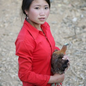 Issue 9 of ILRI East and Southeast Asia newsletter out&nbsp;now