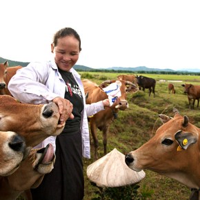 The world commemorates One Health Day amidst&nbsp;pandemic