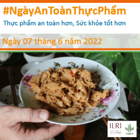 Tọa đàm báo chí: hỗ trợ nâng cao năng lực giúp giới truyền thông đưa tin về an toàn thực phẩm tại Việt Nam một cách chính xác&nbsp;hơn