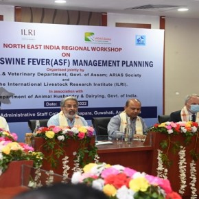 Exploring measures to curb the spread of African swine fever in northeast&nbsp;India