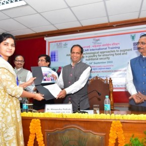 ICAR and ILRI training to enhance backyard poultry production for India’s food&nbsp;security