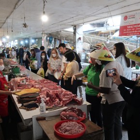 Global food system delegates join a One Health learning journey in&nbsp;Vietnam