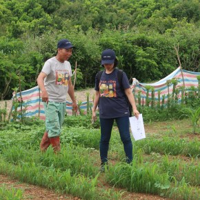 Unlocking livestock development potential: stakeholder meeting fuels progress for Vietnam’s ethnic&nbsp;minorities
