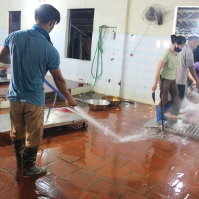 New study confirms efficacy of low-cost interventions in reducing pork contamination in Vietnam