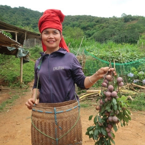 CGIAR Science Day in Vietnam showcases research and innovations for food security